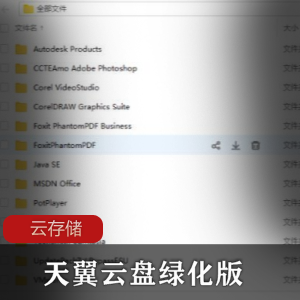 天翼云盘绿化版