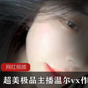 超美极品主播温尔vx作品合集